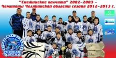 Чемпионы