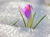 загруженное (4)
