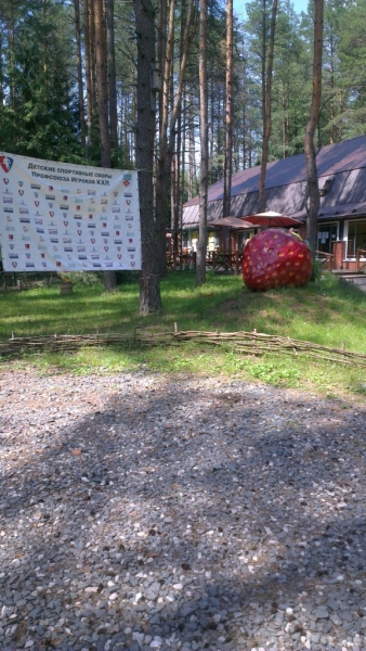 IMAG0284