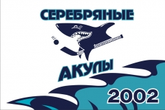 Silver Shark 1 2002