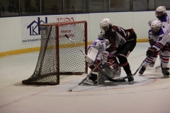 IMG 4486-1