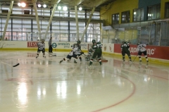 ТУРНИР BAUER TRETYAK RUSSIA 2011