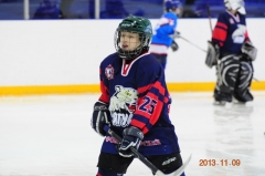 2013-11-09 ФОК Мещерский Турнир Молодпалаты Гор.думы ФОРВАРД 001