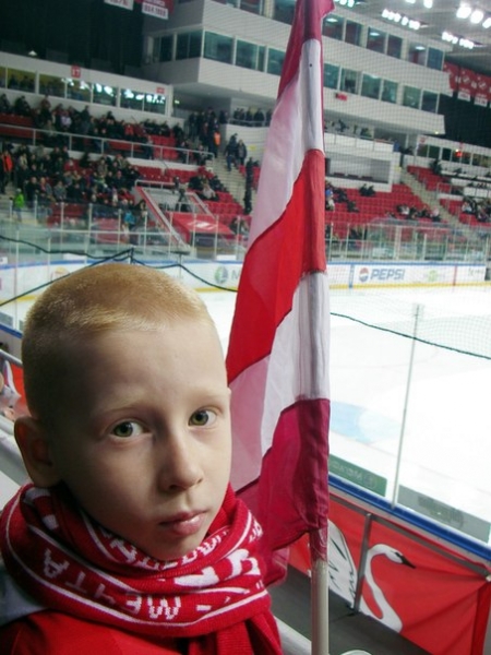 Пингвины -2008