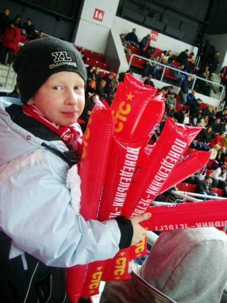 Пингвины -2008