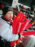 Пингвины -2008