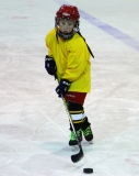 Егор -2008  Пингвины